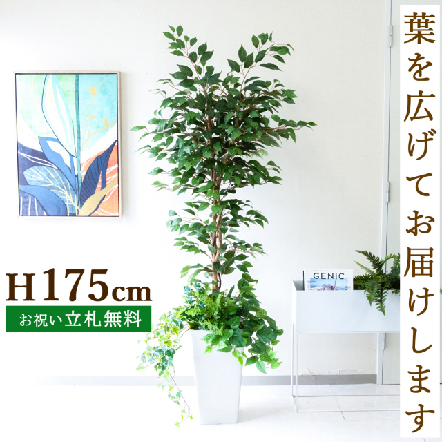 フェイクグリーン フィカス ベンジャミン ツリー H約175cm 鉢付き / 人工観葉植物 観葉植物 フェイク 造花 大型 大きい 店舗 装飾 開店 開業 移転 祝い ギフト プレゼント おしゃれ 住宅展示場 モデルハウス オフィス 立札無料 PG245-Q25WH-UG1
