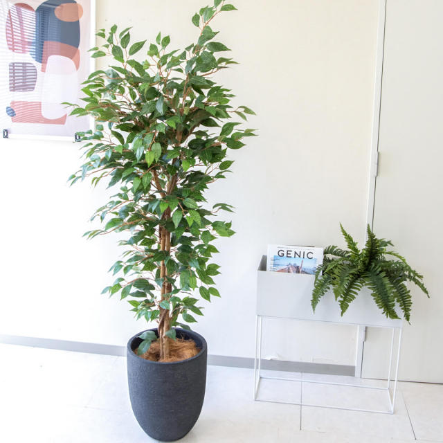 人工 観葉植物 フェイク グリーン ベンジャミン H約160cm 店舗 装飾