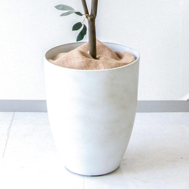 人工 観葉植物 フェイク グリーン オリーブ H約180cm 大型 店舗