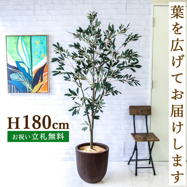 Mr-Dさん専用 人工観葉植物 2個まとめ商品 e55e187b-4ac4-4319-a490-