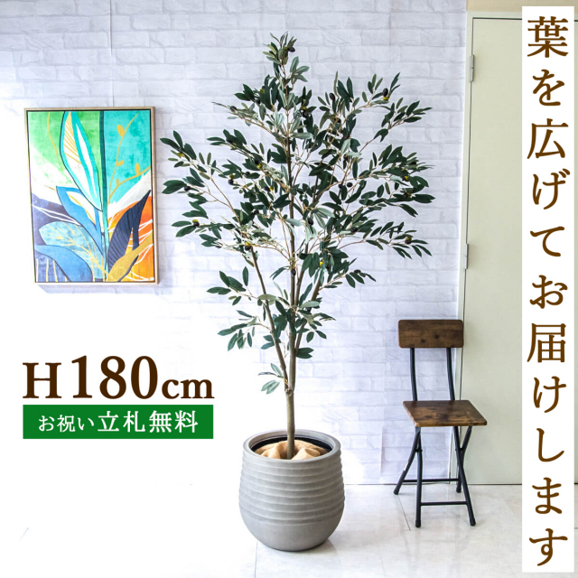 フェイクグリーン オリーブ H約180cm 鉢付き / 人工観葉植物 観葉植物 フェイク 造花 大型 大きい 店舗 装飾 開店 開業 移転 祝い ギフト プレゼント おしゃれ 住宅展示場 モデルハウス オフィス 立札無料 PG246-J40