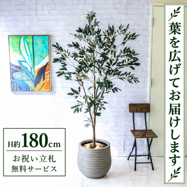 【すぐ飾れる】 フェイクグリーン オリーブ H約180cm 大型 鉢付き / 法人・開店祝い 店舗・オフィス装飾 空間演出 立札無料・造花/PG246-J40