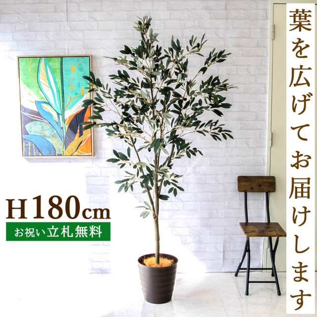 フェイクグリーン オリーブ H約180cm 鉢付き / 人工観葉植物 観葉植物 フェイク 造花 大型 大きい 店舗 装飾 開店 開業 移転 祝い ギフト プレゼント おしゃれ 住宅展示場 モデルハウス オフィス 立札無料 PG246-M27DB