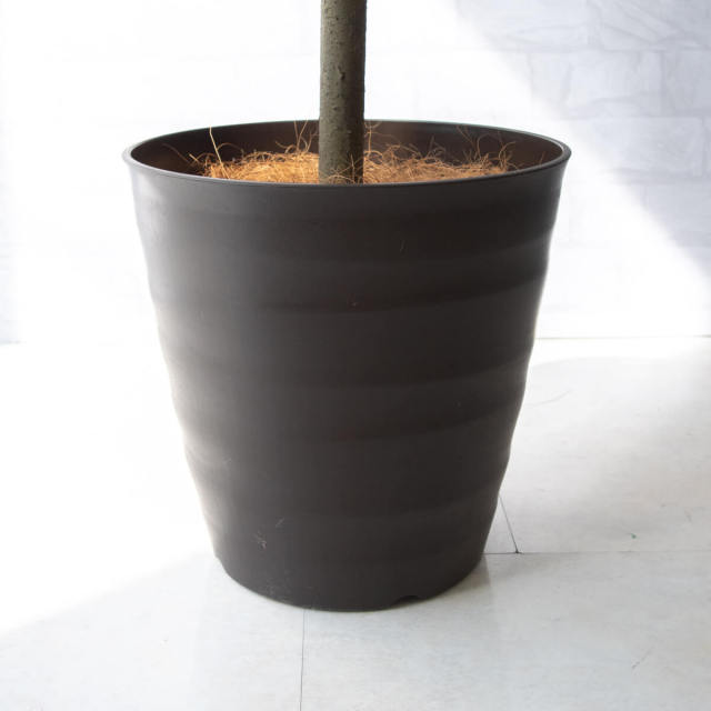 人工 観葉植物 フェイク グリーン オリーブ H約180cm 大型 店舗 装飾