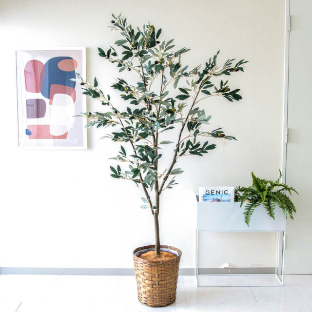 人工 観葉植物 フェイク グリーン オリーブ H約180cm 大型 店舗 装飾