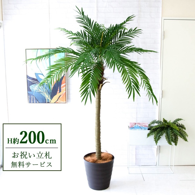 【すぐ飾れる】 フェイクグリーン フェニックス パームツリー ヤシの木 H約200cm 大型 2分割 鉢付き / 法人・開店祝い 店舗・オフィス装飾 空間演出 立札無料・造花/PG248-M36DB
