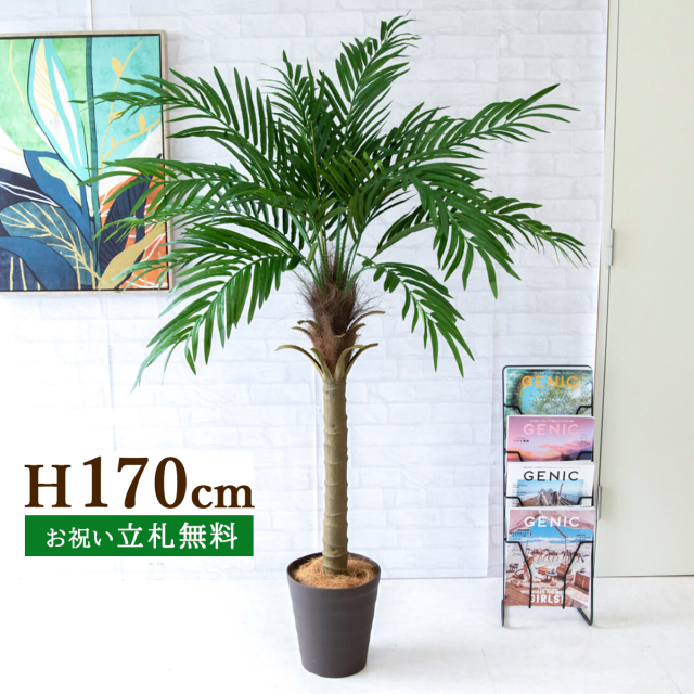 フェイクグリーン フェニックスパームツリー(ヤシの木) H約170cm 鉢付き  / 人工観葉植物 観葉植物 フェイク 造花 大型 大きいパームツリー 南国 夏 店舗 装飾 開店 開業 移転 祝い ギフト プレゼント おしゃれ 住宅展示場 PG249-B240BR