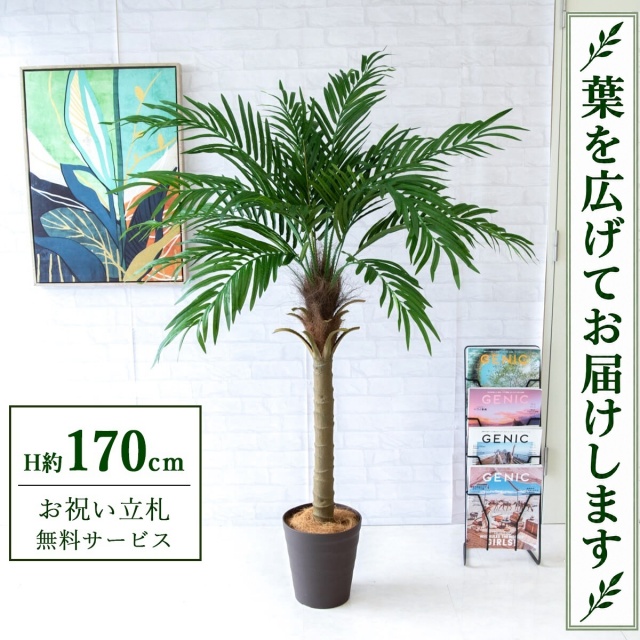【すぐ飾れる】 フェイクグリーン フェニックス パームツリー ヤシの木 H約170cm 大型 鉢付き / 法人・開店祝い 店舗・オフィス装飾 空間演出 立札無料・造花/PG249-B240BR