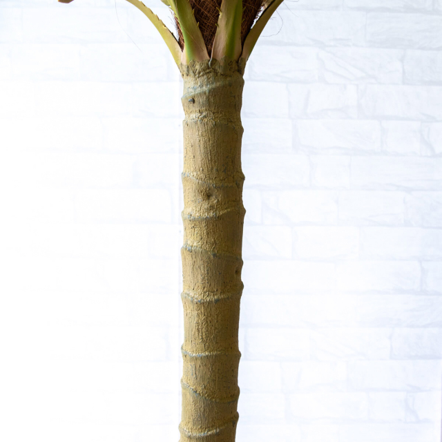人工観葉植物 約170cm ヤシ アレカヤシ ヤシの木 170cm 特大 人工観葉植物 フェイクグリーン