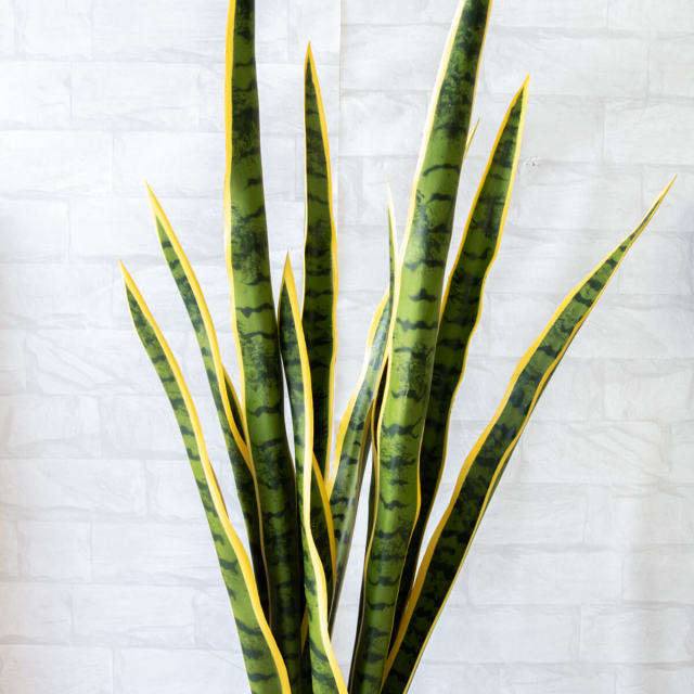 人工 観葉植物 フェイク グリーン サンセベリア H約90cm 店舗