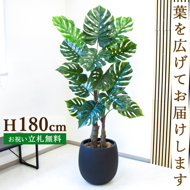 フェイクグリーン モンステラ H約180cm  鉢付き / 人工観葉植物 観葉植物 フェイク 造花 大型 大きい 店舗 装飾 開店 開業 移転 祝い ギフト プレゼント おしゃれ 住宅展示場 モデルハウス オフィス 立札無料 PG259-BAL42BK