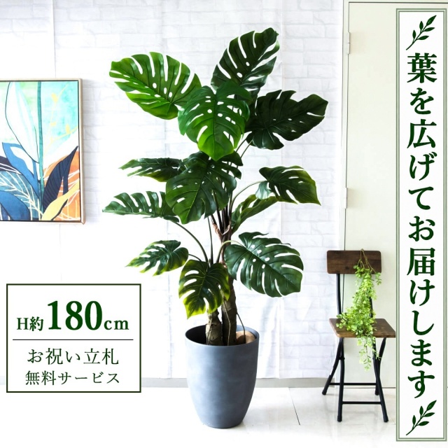 【すぐ飾れる】 フェイクグリーン モンステラ H約180cm 大型 鉢付き / 法人・開店祝い 店舗・オフィス装飾 空間演出 立札無料・造花/PG259-CQX35GY