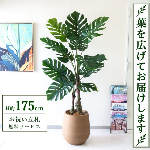 【すぐ飾れる】 フェイクグリーン モンステラ H約175cm 大型 鉢付き / 法人・開店祝い 店舗・オフィス装飾 空間演出 立札無料・造花/PG259-KAO38LB