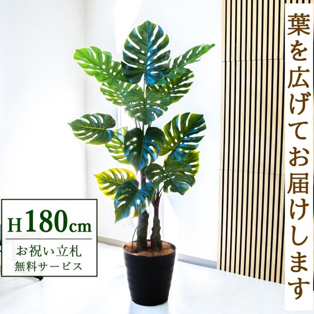 フェイクグリーン モンステラ H約180cm  鉢付き / 人工観葉植物 観葉植物 フェイク 造花 大型 大きい 店舗 装飾 開店 開業 移転 祝い ギフト プレゼント おしゃれ 住宅展示場 モデルハウス オフィス 立札無料 /PG259-M36DB