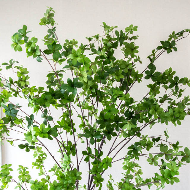 厳選。天然ドウダンツツジ。 楽天市場】ドウダンツツジ 160cm 人工観葉植物 フェイクグリーン