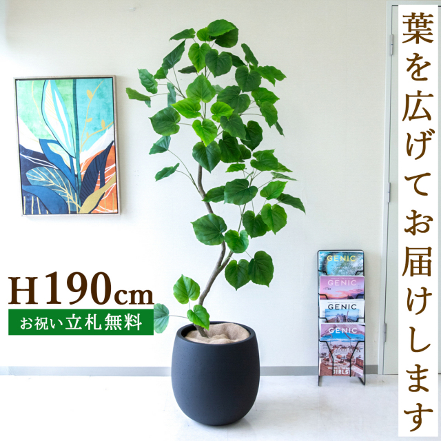 フェイクグリーン ウンベラータ H約190cm  鉢付き / 人工観葉植物 観葉植物 フェイク 造花 大型 大きい 店舗 装飾 開店 開業 移転 祝い ギフト プレゼント おしゃれ 住宅展示場 モデルハウス オフィス 立札無料 PG262-BAL42BK