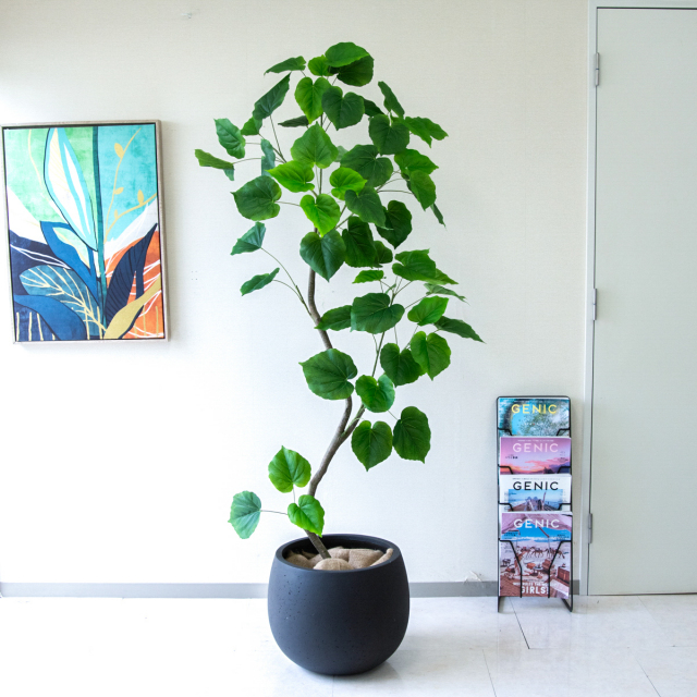 大型フェイクグリーン ウンベラータ 陶器鉢