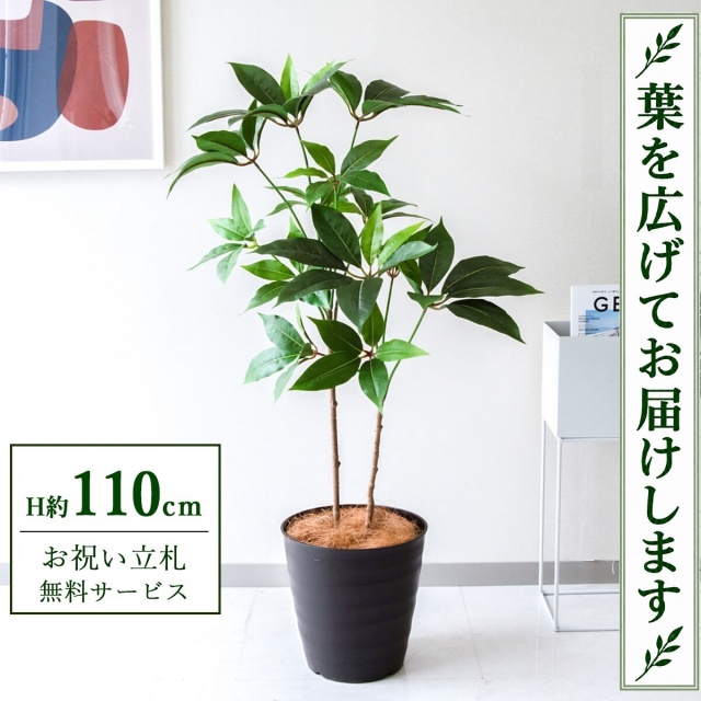 【すぐ飾れる】 フェイクグリーン ツピタンサス H約110cm 鉢付き / 法人・開店祝い 店舗・オフィス装飾 空間演出 立札無料・造花/PG267-M27DB