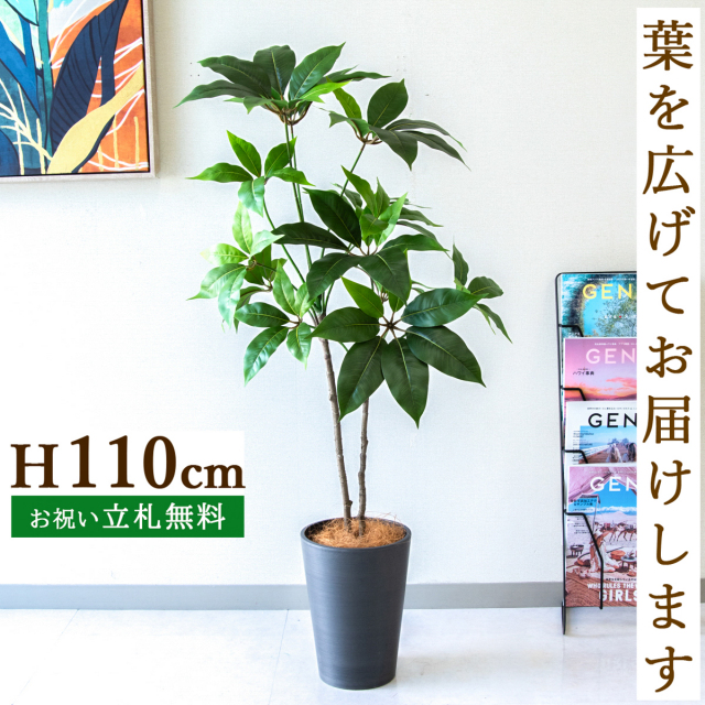フェイクグリーン ツビタンサス H約110cm  鉢付き / 人工観葉植物 観葉植物 フェイク 造花 店舗 装飾 開店 開業 移転 祝い ギフト プレゼント おしゃれ 住宅展示場 モデルハウス オフィス 立札無料 /PG267-X20BK