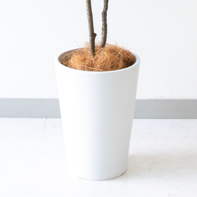 人工 観葉植物 フェイク グリーン ベンジャミンフィカスツリー H約