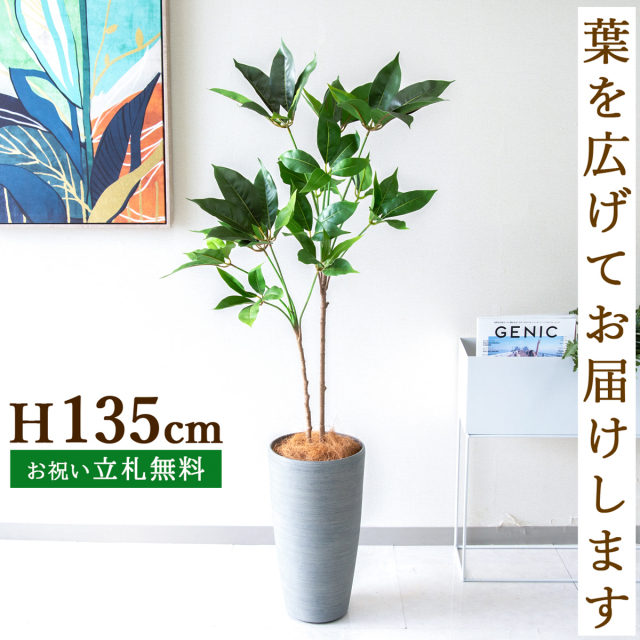 フェイクグリーン ツビタンサス H約135cm  鉢付き / 人工観葉植物 観葉植物 フェイク 造花 店舗 装飾 開店 開業 移転 祝い ギフト プレゼント おしゃれ 住宅展示場 モデルハウス オフィス 立札無料 PG267-ZAG22GY