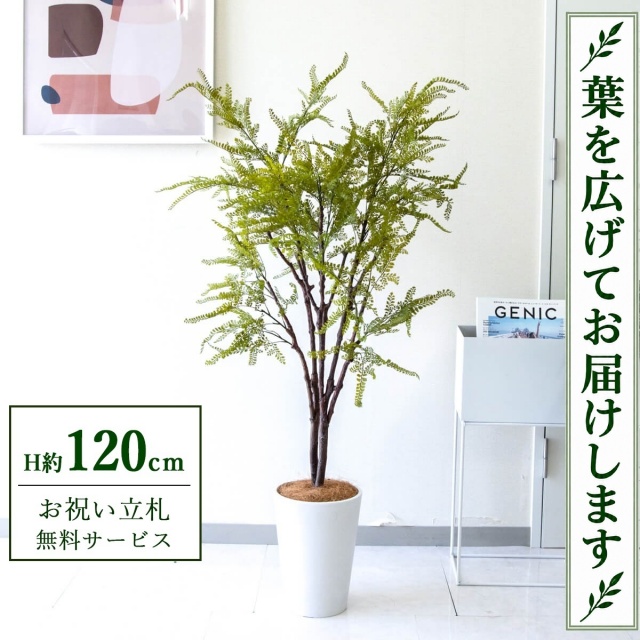 【すぐ飾れる】 フェイクグリーン ファーン H約120cm 鉢付き / 法人・開店祝い 店舗・オフィス装飾 空間演出 立札無料・造花/PG269-X20WH