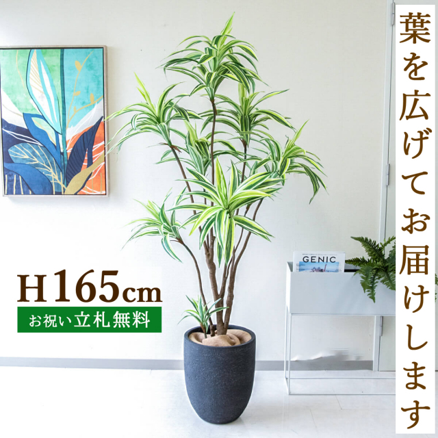 人工 観葉植物 フェイク グリーン パキラ H約145cm 店舗 装飾