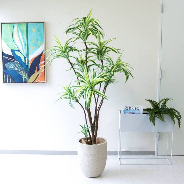 人工 観葉植物 フェイク グリーン パキラ H約145cm 店舗 装飾 開店