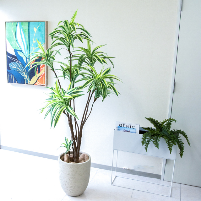 人工 観葉植物 フェイク グリーン パキラ H約145cm 店舗 装飾 開店