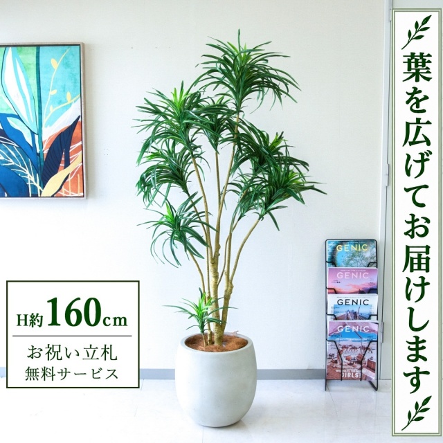 【すぐ飾れる】 フェイクグリーン ユッカツリー H約160cm 鉢付き / 法人・開店祝い 店舗・オフィス装飾 空間演出 立札無料・造花/PG271-BAL35IV