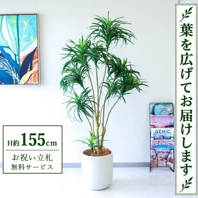 【すぐ飾れる】 フェイクグリーン ユッカツリー H約155cm 鉢付き / 法人・開店祝い 店舗・オフィス装飾 空間演出 立札無料・造花/PG271-CHC29IV
