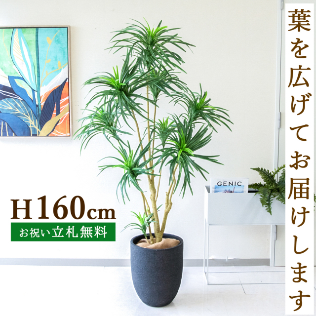 人工 観葉植物 フェイク グリーン パキラ H約145cm 店舗 装飾
