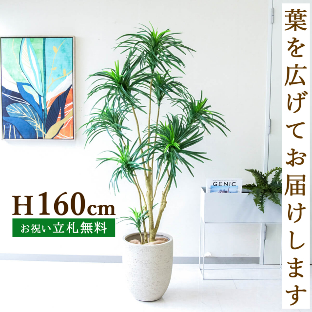 フェイクグリーン ユッカツリー H約160cm 鉢付き / 観葉植物 フェイク 人工観葉植物 造花 店舗 装飾 開店 開業 移転 祝い ギフト プレゼント おしゃれ 住宅展示場 モデルハウス オフィス 立札無料 PG271-SFO31IV
