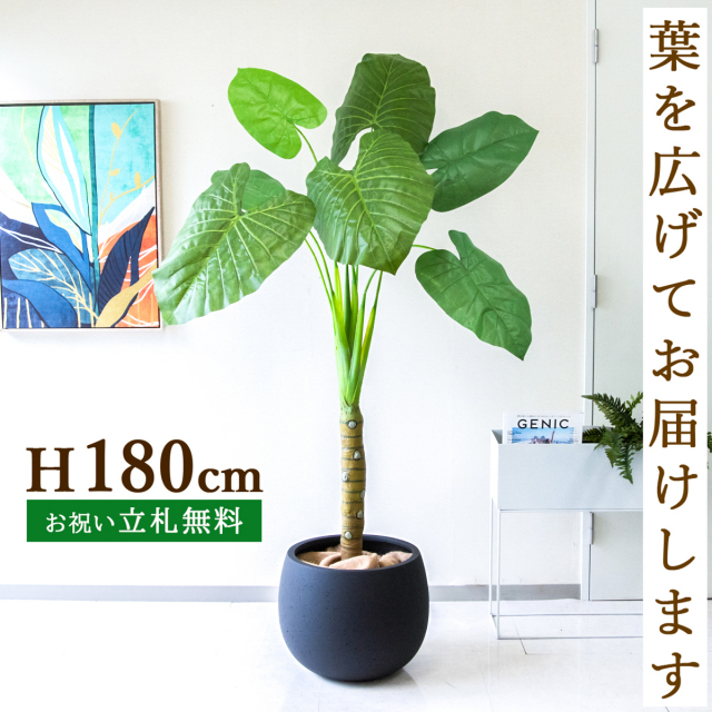 人工 観葉植物 フェイク グリーン パキラ H約145cm 店舗 装飾