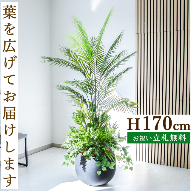 人工 観葉植物 フェイク グリーン パキラ H約145cm 店舗 装飾