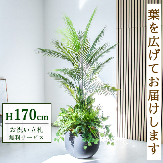 【すぐ飾れる】 フェイクグリーン アレカパーム 170cm 大型 鉢付き / 法人・開店祝い 店舗・オフィス装飾 空間演出 立札無料・造花/PG273-D42BK-UG6