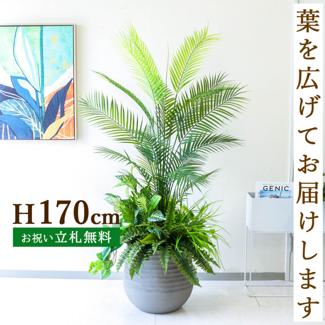 フェイクグリーン アレカパームツリー H約170cm 鉢付き / 人工観葉植物 観葉植物 フェイク 造花 大型 大きいパームツリー 南国 夏 店舗 装飾 開店 開業 移転 祝い ギフト プレゼント おしゃれ 住宅展示場 モデルハウス PG273-J40-UG6