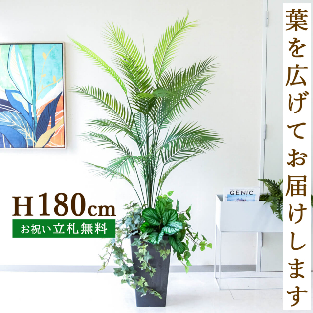 フェイクグリーン アレカパームツリー H約180cm 鉢付き / 人工観葉植物 観葉植物 フェイク 造花 大型 大きいパームツリー 南国 夏 店舗 装飾 開店 開業 移転 祝い ギフト プレゼント おしゃれ 住宅展示場 モデルハウス PG273-Q25BK-UG5