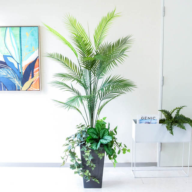 人工 観葉植物 フェイク グリーン パキラ H約145cm 店舗 装飾