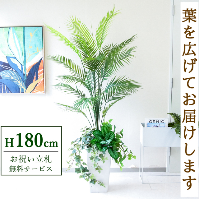 【すぐ飾れる】 フェイクグリーン アレカパーム 180cm 大型 鉢付き / 法人・開店祝い 店舗・オフィス装飾 空間演出 立札無料・造花/PG273-Q25WH-UG5
