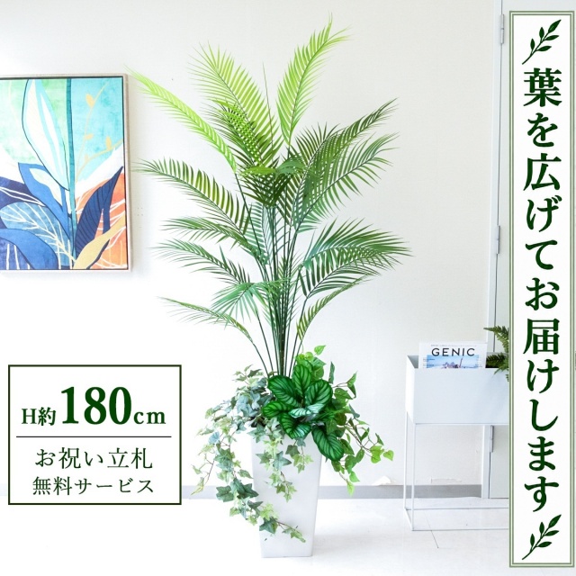 【すぐ飾れる】 フェイクグリーン アレカパーム H約180cm 大型 鉢付き / 法人・開店祝い 店舗・オフィス装飾 空間演出 立札無料・造花/PG273-Q25WH-UG5