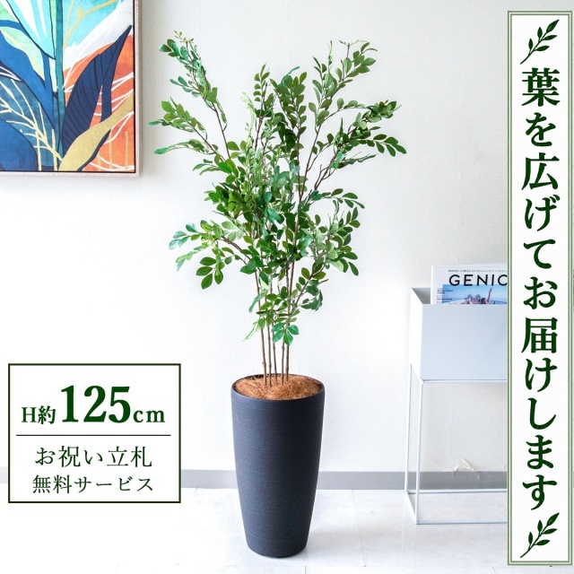 【すぐ飾れる】 フェイクグリーン トネリコ H約125cm 鉢付き / 法人・開店祝い 店舗・オフィス装飾 空間演出 立札無料・造花/PG276-5-ZAG22BK