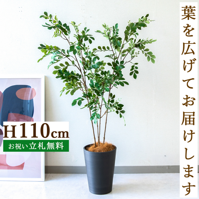 フェイクグリーン トネリコ H約110cm  鉢付き / 人工観葉植物 観葉植物 フェイク 造花 店舗 装飾 開店 開業 移転 祝い ギフト プレゼント おしゃれ 住宅展示場 モデルハウス オフィス 立札無料 /PG276-X20BK