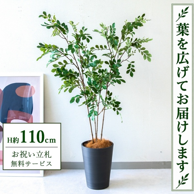 【すぐ飾れる】 フェイクグリーン トネリコ H約110cm 鉢付き / 法人・開店祝い 店舗・オフィス装飾 空間演出 立札無料・造花/PG276-X20BK