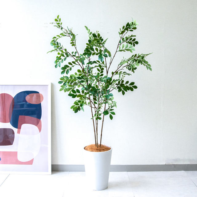 フェイクグリーン ベンジャミン 人工観葉植物 約170cm 大型 DEPOS 人工観葉植物 フェイクグリーン 観葉植物 造花 インテリア 大型