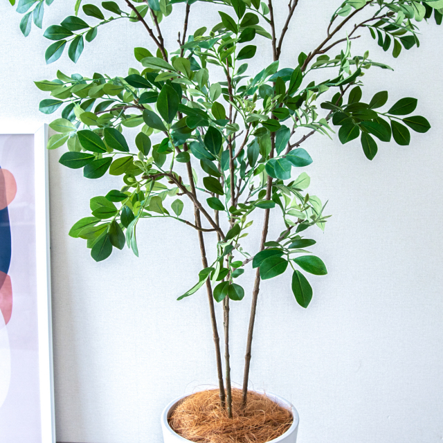 人工 観葉植物 フェイク グリーン ベンジャミンフィカスツリー H約