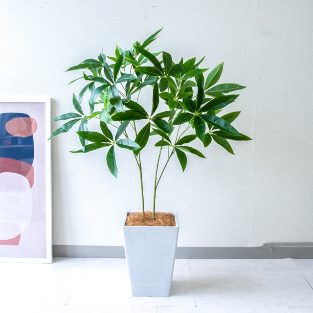 人工 観葉植物 フェイク グリーン ベンジャミン H約160cm 店舗 装飾