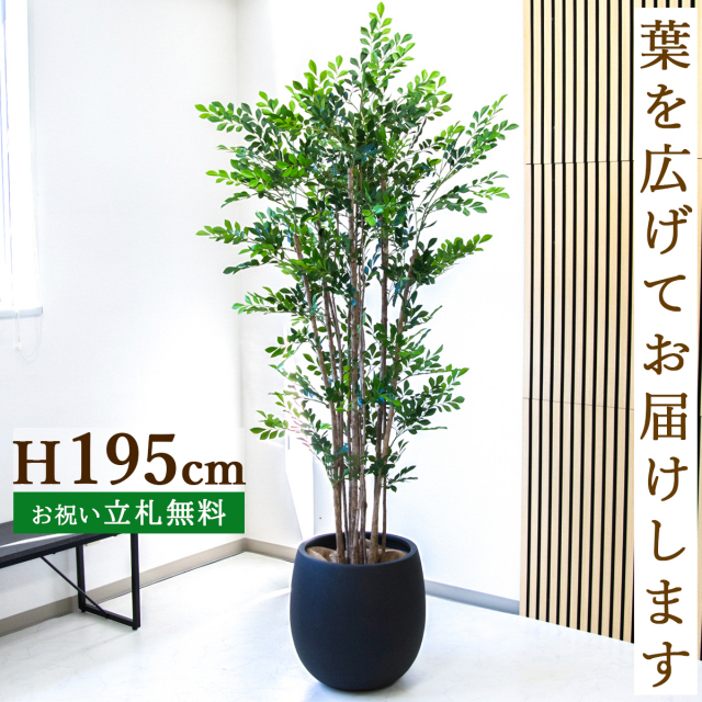 フェイクグリーン トネリコ H約195cm  鉢付き / 人工観葉植物 観葉植物 フェイク 造花 大型 大きい 店舗 装飾 開店 開業 移転 祝い ギフト プレゼント おしゃれ 住宅展示場 モデルハウス オフィス 立札無料 PG279-BAL42BK