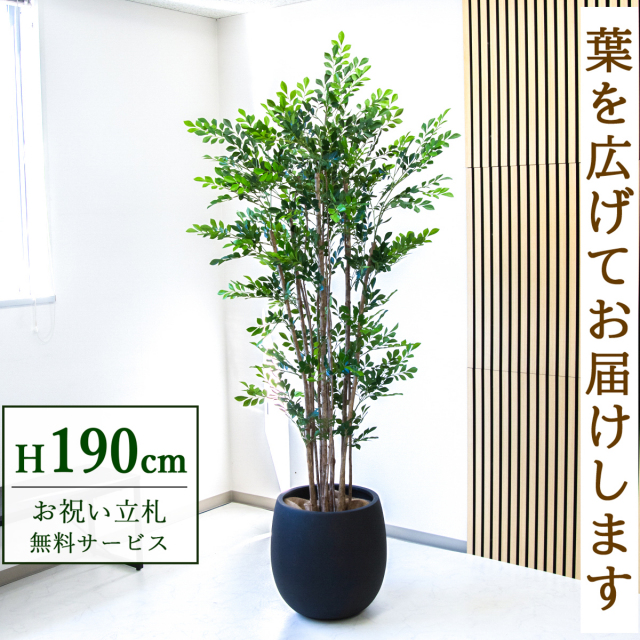 フェイクグリーン トネリコ H約190cm  鉢付き / 人工観葉植物 観葉植物 フェイク 造花 大型 大きい 店舗 装飾 開店 開業 移転 祝い ギフト プレゼント おしゃれ 住宅展示場 モデルハウス オフィス 立札無料 /PG279-BAL42BK