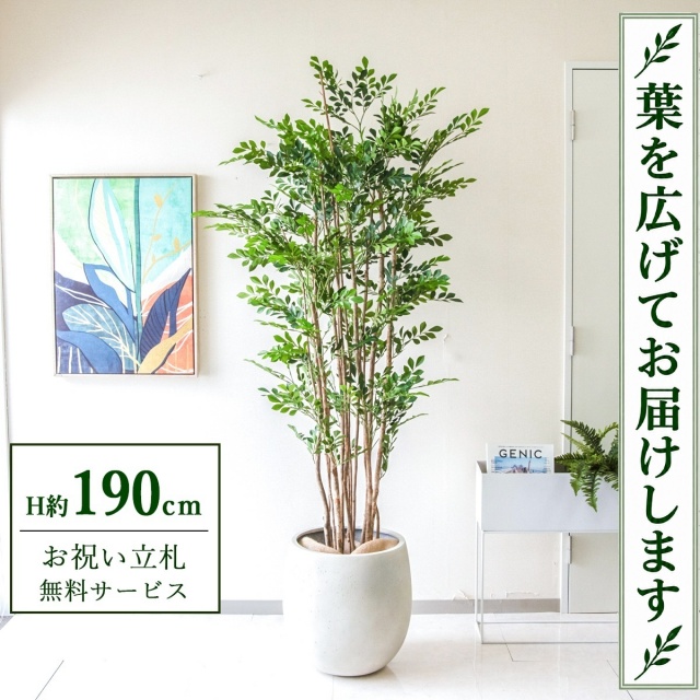 【すぐ飾れる】 フェイクグリーン トネリコ H約190cm 大型 鉢付き / 法人・開店祝い 店舗・オフィス装飾 空間演出 立札無料・造花/PG279-BAL42IV
